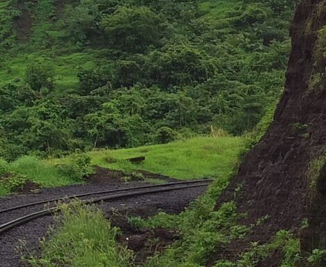 THE MOST POPULAR TRAIL IN SANJAY GANDHI NATIONAL PARK: SHILONDA